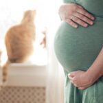 Toxoplasmose pendant la grossesse : risques, symptômes et traitement